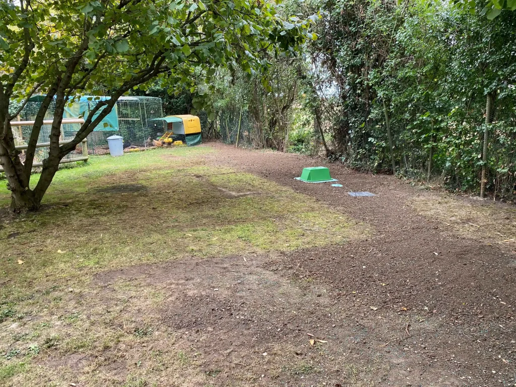 IMG 6310 11zon 11zon